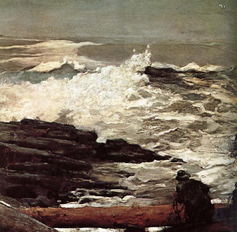 Winslow Homer Driftwood